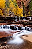 Archangel Falls in autumn, near the Subway in North Creek Canyon, with maples and cottonwoods turning fall colors. Zion National Park, Utah, USA. Image #26097