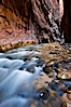 The Virgin River flows through the Zion Narrows, with tall sandstone walls towering hundreds of feet above. Virgin River Narrows, Zion National Park, Utah, USA. Image #26103