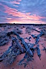 Sunrise over the South Coyote Buttes. South Coyote Buttes, Paria Canyon-Vermilion Cliffs Wilderness, Arizona, USA. Image #26608