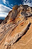 Sarah's Swirl, a particularly beautiful formation at White Pocket in the Vermillion Cliffs National Monument. White Pocket, Vermillion Cliffs National Monument, Arizona, USA. Image #26621