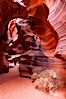 Upper Antelope Canyon slot canyon. Navajo Tribal Lands, Page, Arizona, USA. Image #26625