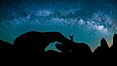 The Milky Way galaxy arches over Arch Rock on a clear evening in Joshua Tree National Park. Joshua Tree National Park, California, USA. Image #26792