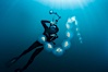 Freediver photographing pelagic gelatinous zooplankton, adrift in the open ocean. San Diego, California, USA. Image #26818