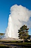 Old Faithful geyser, sunrise.  Reaching up to 185' in height and lasting up to 5 minutes, Old Faithful geyser is the most famous geyser in the world and the first geyser in Yellowstone to be named. Upper Geyser Basin, Yellowstone National Park, Wyoming, USA. Image #26939