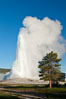 Old Faithful geyser, sunrise.  Reaching up to 185' in height and lasting up to 5 minutes, Old Faithful geyser is the most famous geyser in the world and the first geyser in Yellowstone to be named. Upper Geyser Basin, Yellowstone National Park, Wyoming, USA