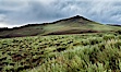 White Mountains and storm clouds, near Patriarch Grove. White Mountains, Inyo National Forest, California, USA. Image #26986