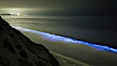 Lingulodinium polyedrum red tide dinoflagellate plankton, glows blue when it is agitated in wave and is visible at night. La Jolla, California, USA. Image #27063