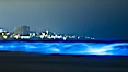 Lingulodinium polyedrum red tide dinoflagellate plankton, glows blue when it is agitated in wave and is visible at night. La Jolla, California, USA. Image #27064