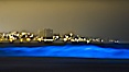 Lingulodinium polyedrum red tide dinoflagellate plankton, glows blue when it is agitated in wave and is visible at night. La Jolla, California, USA. Image #27068