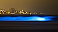 Lingulodinium polyedrum red tide dinoflagellate plankton, glows blue when it is agitated in wave and is visible at night. La Jolla, California, USA. Image #27069
