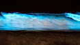 Lingulodinium polyedrum red tide dinoflagellate plankton, glows blue when it is agitated in wave and is visible at night. La Jolla, California, USA. Image #27071