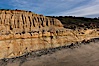 Torrey Pines balloon aerial survey photo.  Torrey Pines seacliffs, rising up to 300 feet above the ocean, stretch from Del Mar to La Jolla. On the mesa atop the bluffs are found Torrey pine trees, one of the rare species of pines in the world. Peregine falcons nest at the edge of the cliffs. This photo was made as part of an experimental balloon aerial photographic survey flight over Torrey Pines State Reserve, by permission of Torrey Pines State Reserve. Torrey Pines State Reserve, San Diego, California, USA. Image #27286