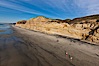 Torrey Pines balloon aerial survey photo.  Torrey Pines seacliffs, rising up to 300 feet above the ocean, stretch from Del Mar to La Jolla. On the mesa atop the bluffs are found Torrey pine trees, one of the rare species of pines in the world. Peregine falcons nest at the edge of the cliffs. This photo was made as part of an experimental balloon aerial photographic survey flight over Torrey Pines State Reserve, by permission of Torrey Pines State Reserve. Torrey Pines State Reserve, San Diego, California, USA. Image #27287