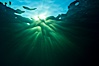 Beautiful underwater sunburst, glittering light through the ocean surface, Sea of Cortez, Baja California, Mexico. Sea of Cortez, Baja California, Mexico. Image #27562