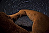 Mobius Arch in the Alabama Hills, seen here at night with swirling star trails formed in the sky above due to a long time exposure. Alabama Hills Recreational Area, California, USA. Image #27681