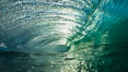 Breaking wave, morning, barrel shaped surf, California. The Wedge, Newport Beach, USA. Image #27986