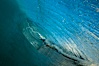 Breaking wave, morning, barrel shaped surf, California. California, USA. Image #27995