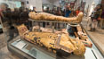 Egyptian mummies. British Museum, London, United Kingdom. Image #28305