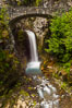 Christine Falls. Mount Rainier National Park, Washington, USA. Image #28717