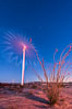 Ocotillo Express Wind Energy Projects, moving turbines lit by the rising sun, California, USA. Image #30242
