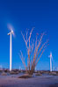 Ocotillo Express Wind Energy Projects, moving turbines lit by the rising sun, California, USA. Image #30243