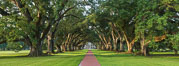 Oak Alley Plantation and its famous shaded tunnel of  300-year-old southern live oak trees (Quercus virginiana).  The plantation is now designated as a National Historic Landmark. Vacherie, Louisiana, USA. Image #31018