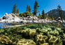 Split view of Trees and Underwater Boulders, Lake Tahoe, Nevada. USA. Image #32355