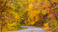 Blue Ridge Parkway Fall Colors, Asheville, North Carolina. USA. Image #34638