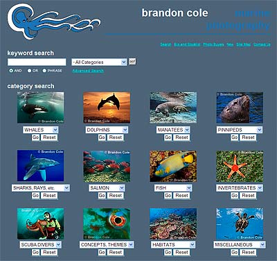 Brandon Cole Marine Photography