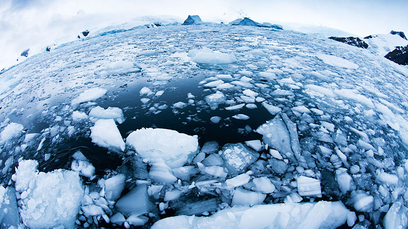 Brash Ice, Antarctic Peninsula