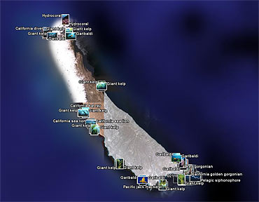 How To Geotag Your Photos Natural History Photography Blog How To Geotag Your Photos Natural History Photography Blog
