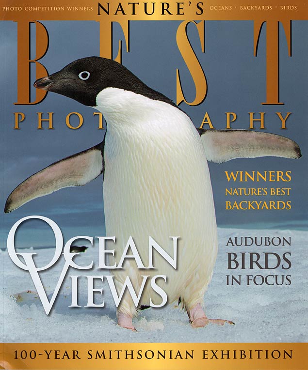 Adelie Penguin, Antarctica, Nature's Best Photography Spring/Summer 2010. Click to see more images from Antarctica