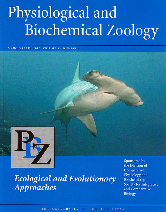 Hammerhead shark cover photo, Physiological and Biochemical Zoology, March/April 2010