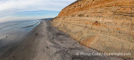 Torrey Pines balloon aerial survey photo.  Torrey Pines seacliffs, rising up to 300 feet above the ocean, stretch from Del Mar to La Jolla. On the mesa atop the bluffs are found Torrey pine trees, one of the rare species of pines in the world. Peregine falcons nest at the edge of the cliffs. This photo was made as part of an experimental balloon aerial photographic survey flight over Torrey Pines State Reserve, by permission of Torrey Pines State Reserve, San Diego, California