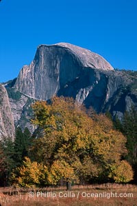 Half Dome, autumn, Yosemite National Park, California