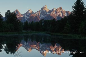 The Teton Range at sunrise is reflected in a beaver pond situated in a sidewater of the Snake River near Schwabachers Landing during summer, Schwabacher Landing, Grand Teton National Park, Wyoming
