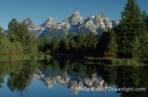 The Teton Range at sunrise is reflected in a beaver pond situated in a sidewater of the Snake River near Schwabachers Landing during summer, Schwabacher Landing, Grand Teton National Park, Wyoming