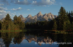 The Teton Range at sunrise is reflected in a beaver pond situated in a sidewater of the Snake River near Schwabachers Landing during summer, Schwabacher Landing, Grand Teton National Park, Wyoming