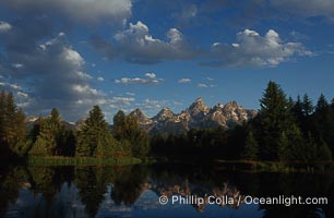 The Teton Range at sunrise is reflected in a beaver pond situated in a sidewater of the Snake River near Schwabachers Landing during summer, Schwabacher Landing, Grand Teton National Park, Wyoming