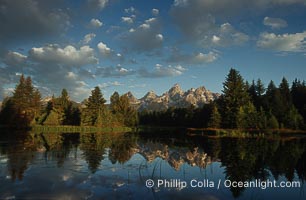 The Teton Range at sunrise is reflected in a beaver pond situated in a sidewater of the Snake River near Schwabachers Landing during summer, Schwabacher Landing, Grand Teton National Park, Wyoming