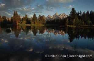 The Teton Range at sunrise is reflected in a beaver pond situated in a sidewater of the Snake River near Schwabachers Landing during summer, Schwabacher Landing, Grand Teton National Park, Wyoming