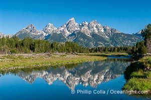 The Teton Range at sunrise is reflected in a beaver pond situated in a sidewater of the Snake River near Schwabachers Landing during summer, Schwabacher Landing, Grand Teton National Park, Wyoming