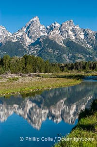 The Teton Range at sunrise is reflected in a beaver pond situated in a sidewater of the Snake River near Schwabachers Landing during summer, Schwabacher Landing, Grand Teton National Park, Wyoming