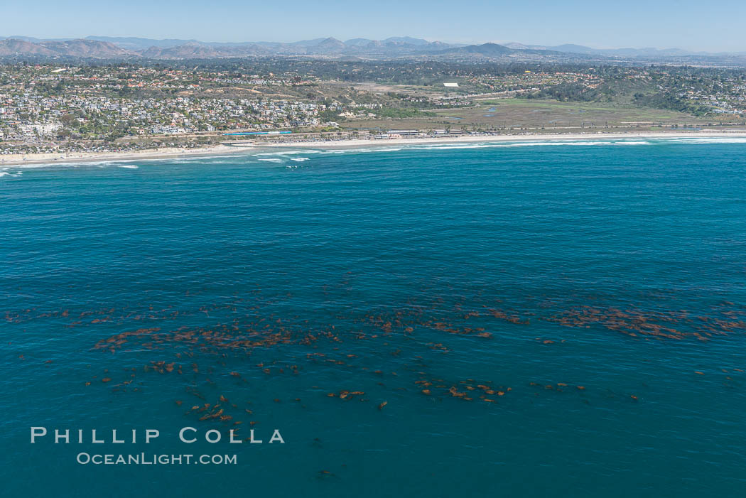 Aerial Photo of Swamis Marine Conservation Area.  Swami's State Marine Conservation Area (SMCA) is a marine protected area that extends offshore of Encinitas in San Diego County. California, USA, natural history stock photograph, photo id 30581