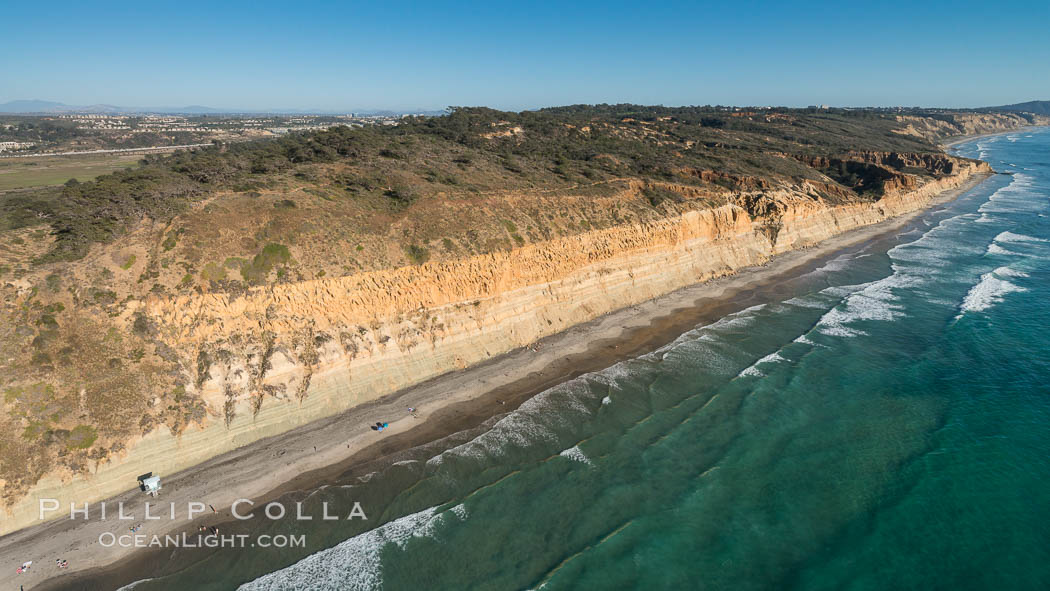 Torrey Pines seacliffs, rising up to 300 feet above the ocean, stretch from Del Mar to La Jolla. On the mesa atop the bluffs are found Torrey pine trees, one of the rare species of pines in the world., natural history stock photograph, photo id 30734