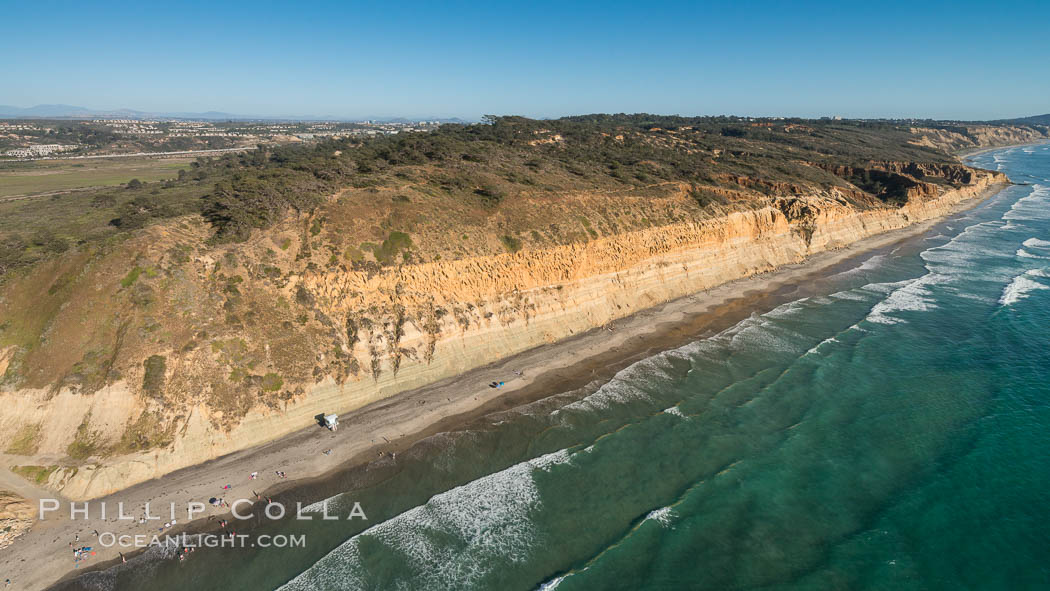 Torrey Pines seacliffs, rising up to 300 feet above the ocean, stretch from Del Mar to La Jolla. On the mesa atop the bluffs are found Torrey pine trees, one of the rare species of pines in the world., natural history stock photograph, photo id 30733