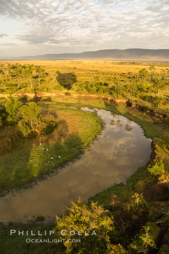 Aerial view of the Mara River, Maasai Mara, Kenya.  Photo taken while hot air ballooning at sunrise. Maasai Mara National Reserve, natural history stock photograph, photo id 29818
