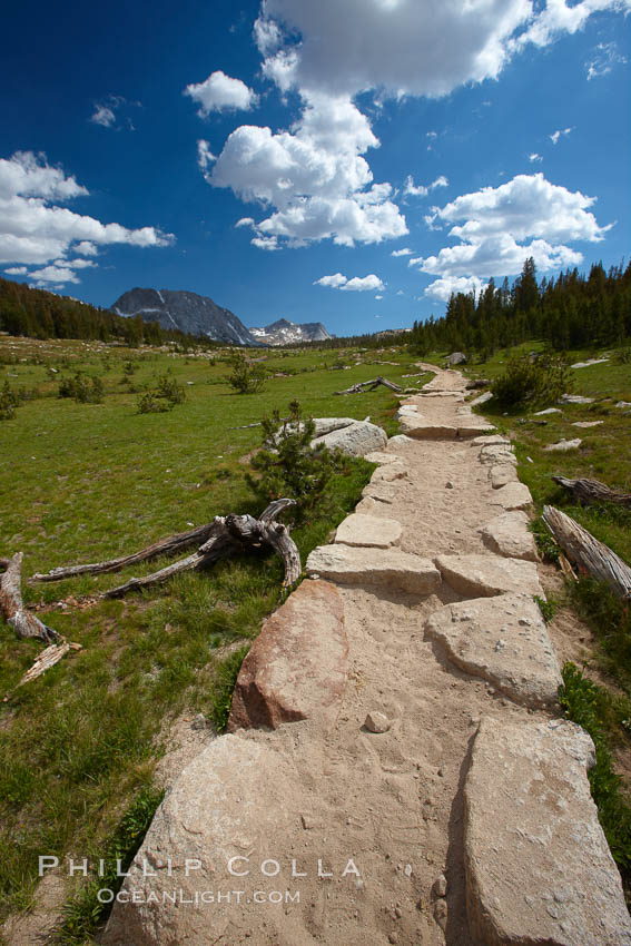 Alpine meadow and John Muir Trail, in Yosemite's high country on approach to Vogelsang High Sierra Camp. Yosemite National Park, California, USA, natural history stock photograph, photo id 23243