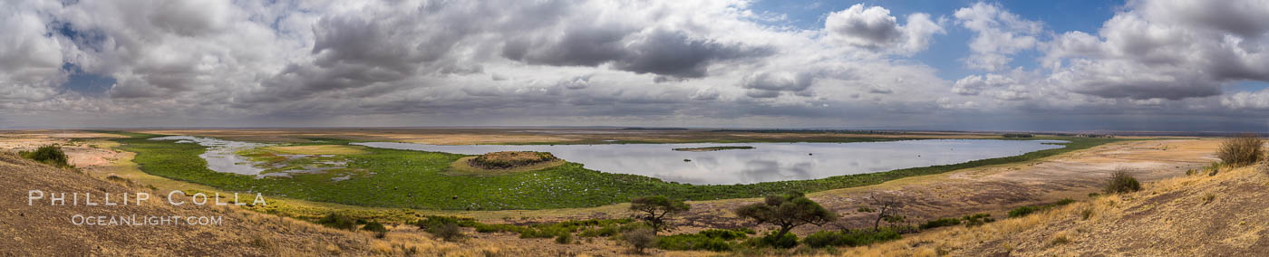 Amboseli National Park swamp viewed from Observation Hill, panoramic photo. Kenya, natural history stock photograph, photo id 29578