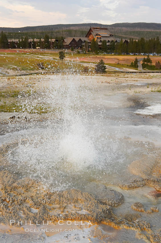 Anemone Geyser erupts, Old Faithful Inn visible in the distance.  Anemone Geyser cycles about every 7 minutes.  First the pools fills, then overflows, then bubbles and splashes before erupting.  The eruption empties the pools and the cycle begins anew.  Upper Geyser Basin. Yellowstone National Park, Wyoming, USA, natural history stock photograph, photo id 13396